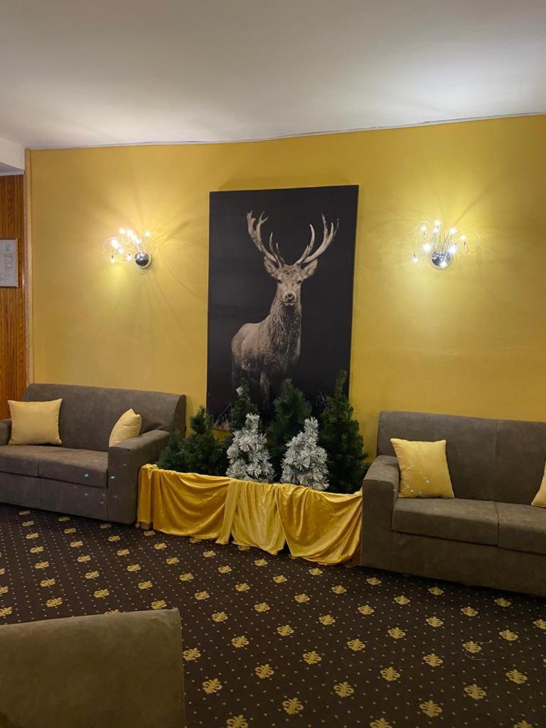 Hotel Splendid Oulx Extérieur photo